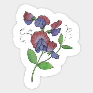 Sweetpea Sticker